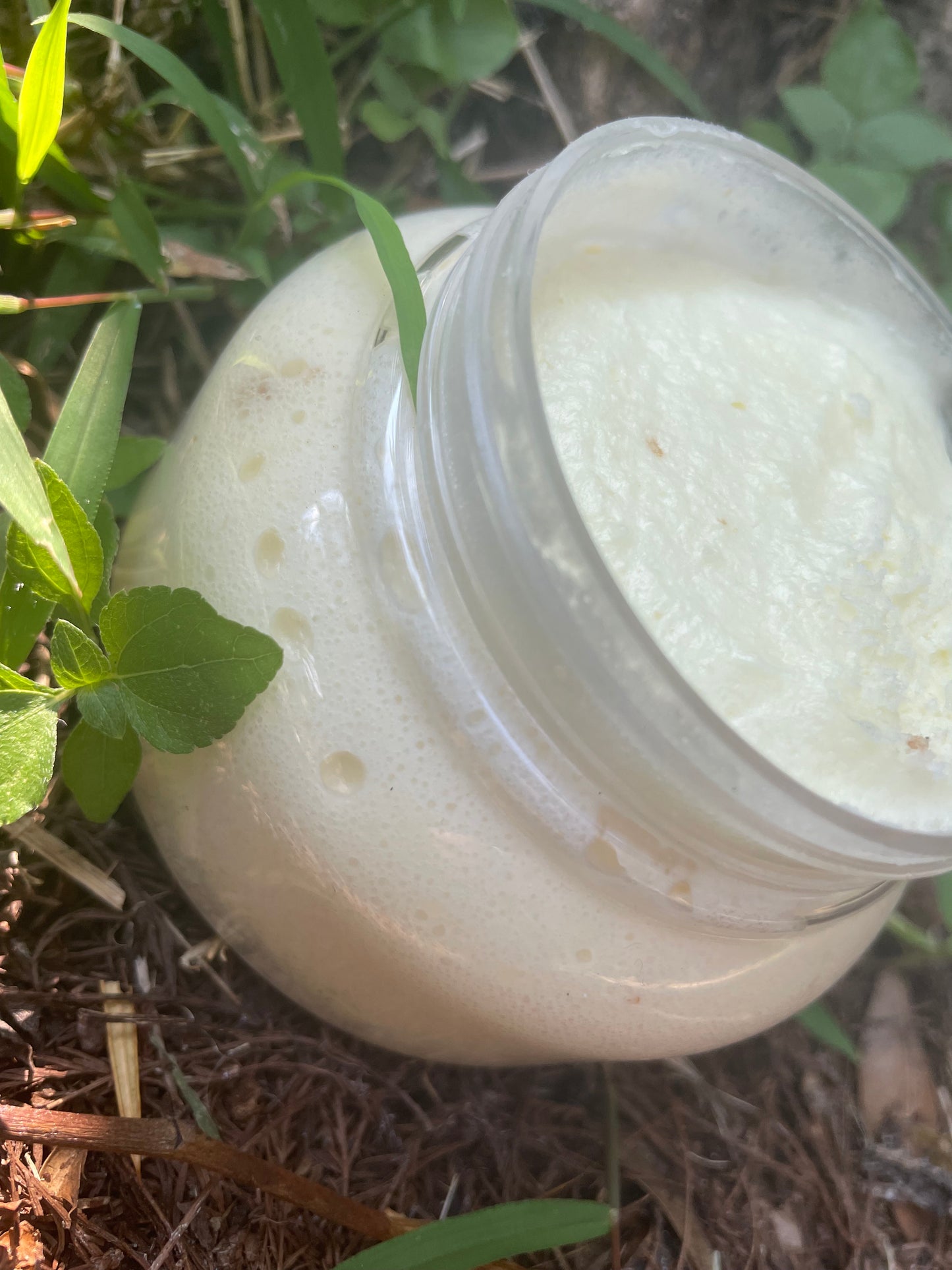 Lotus Gold Body Butter